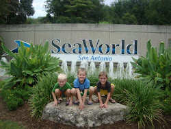 Boys Sea World