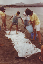 giochi in spiaggia