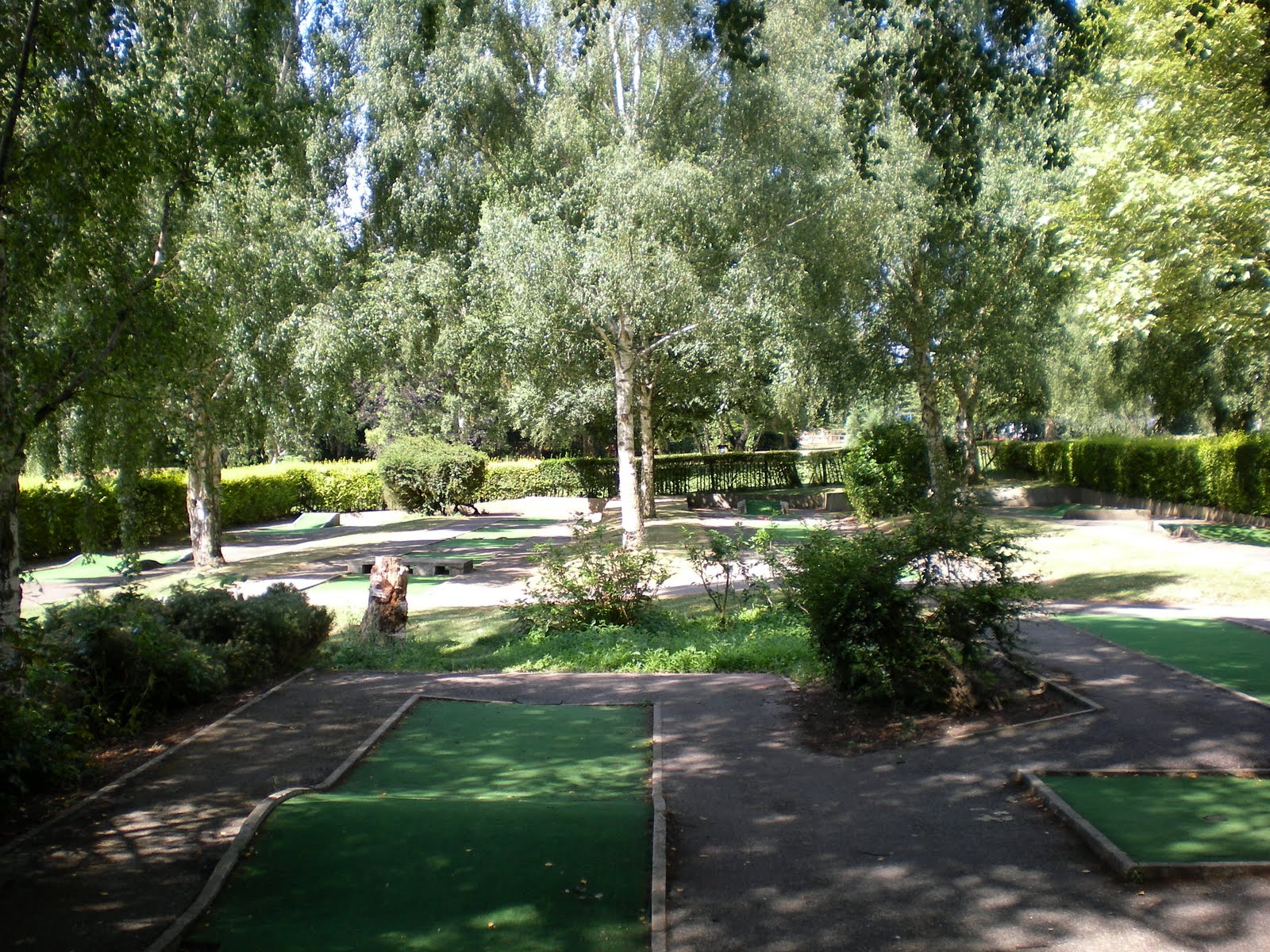 The Ham and Egger Files Brentwood (King Playing Fields) Crazy