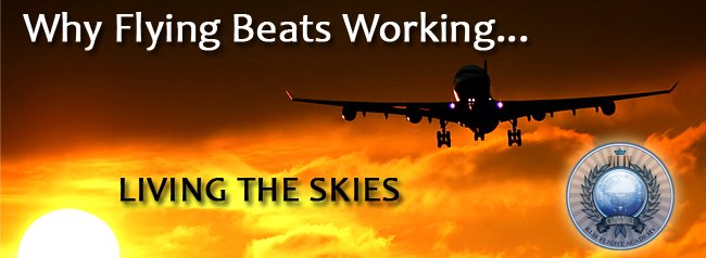 Why Flying Beats Working...