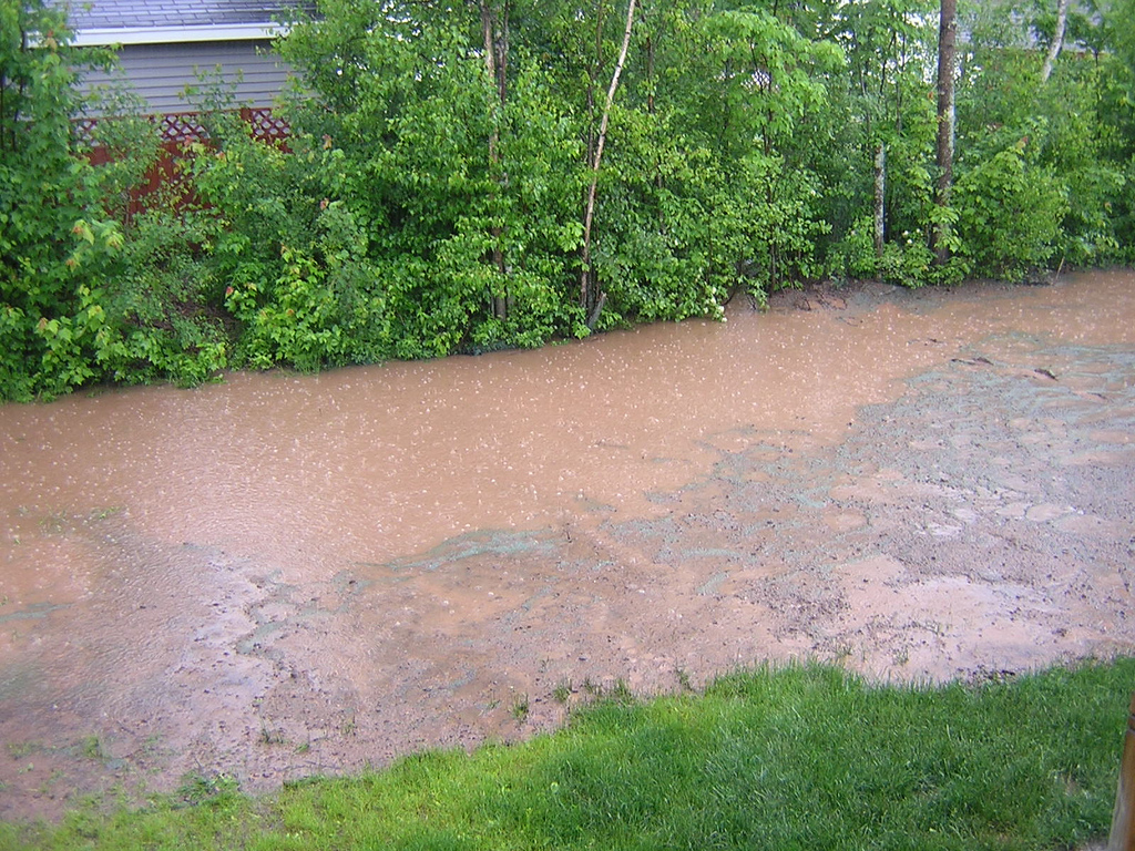 East Coast Gardener: The Evolution of the Backyard Pond