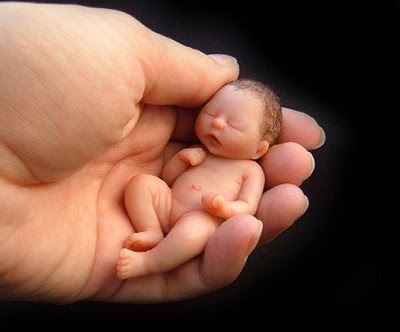 Conociendo al niño desde su nacimiento.