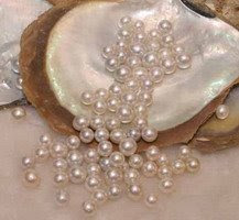 INDONESIAN SOUTH SEA PEARLS