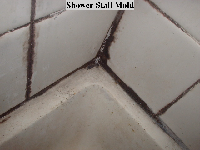 Mold In My Shower tip of the day! (shower mold) ~ ask my contractor Mold In My Shower tip of the day! (shower mold) ~ ask my contractor
