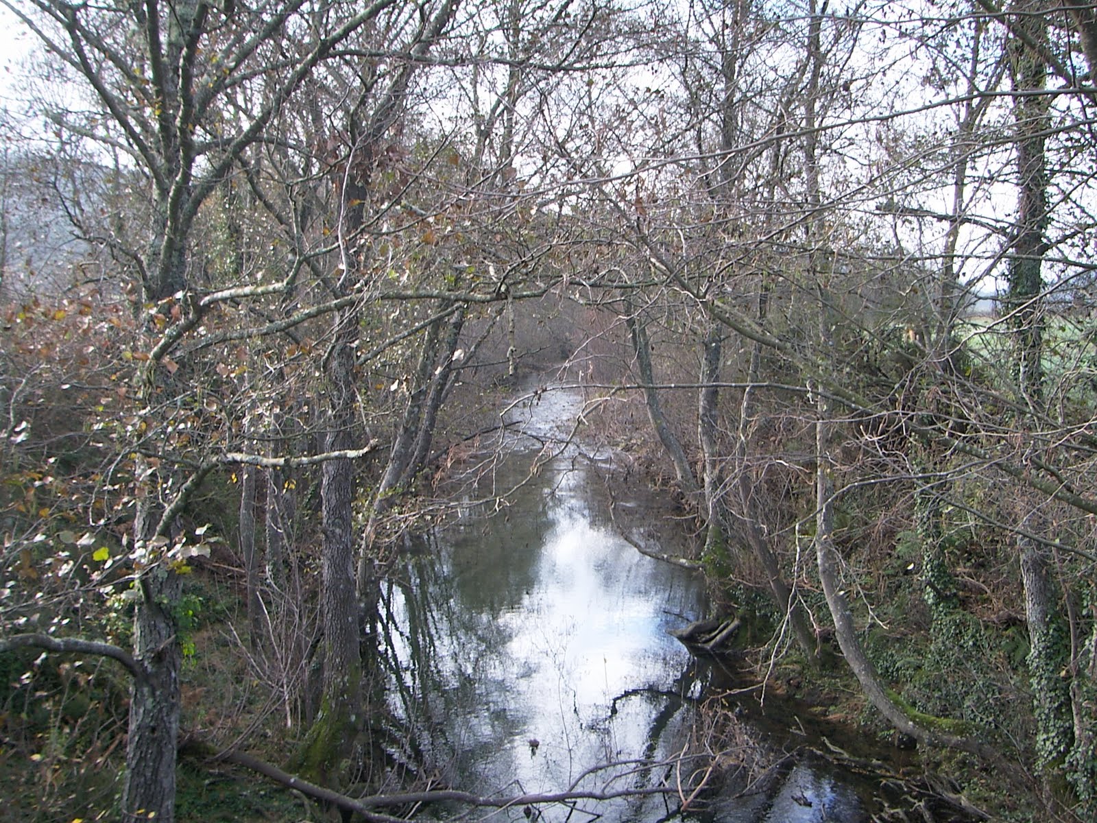 [DCAM0019.JPG]