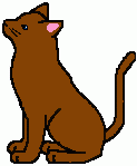 Hazelpaw