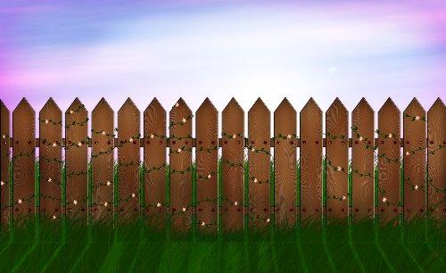 The-fence---48757.jpg?width=266