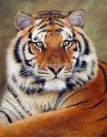 save tiger
