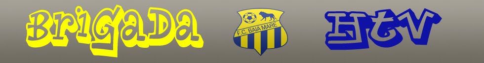 F.C. BAIA MARE