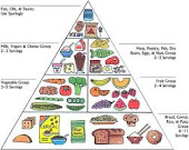 Food Pyramid