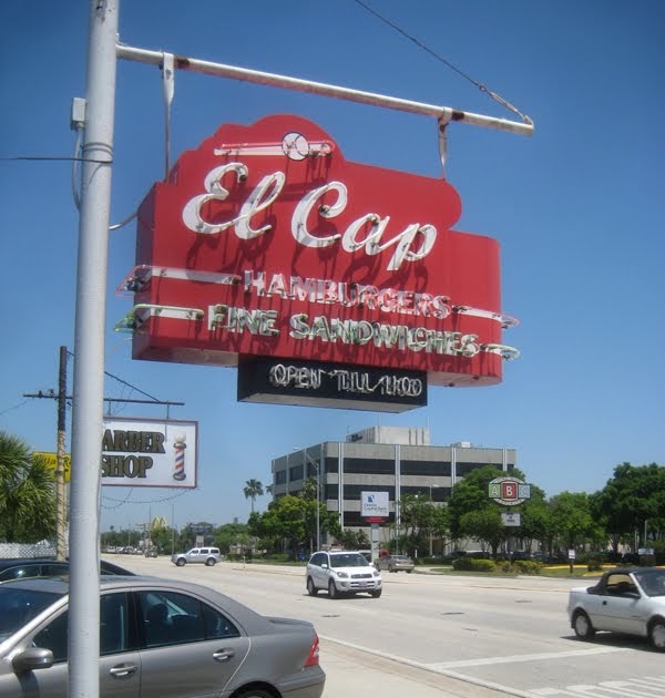 Scallywag Journeys Tampa Bay and Beyond El Cap St Petersburg, FL