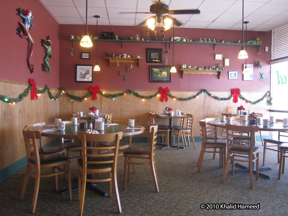 Scallywag Journeys Tampa Bay and Beyond The Frog Pond St Pete