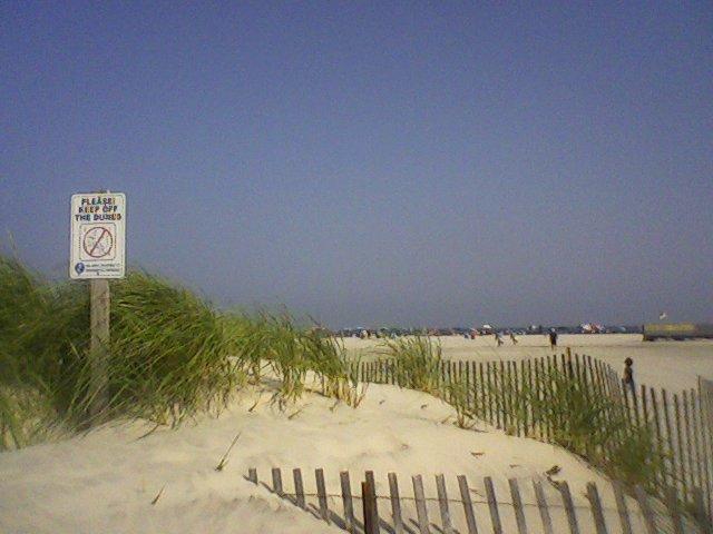 Wildwood NJ Beach Dunes wallpaper background (640 x 480 ) - HD Beach