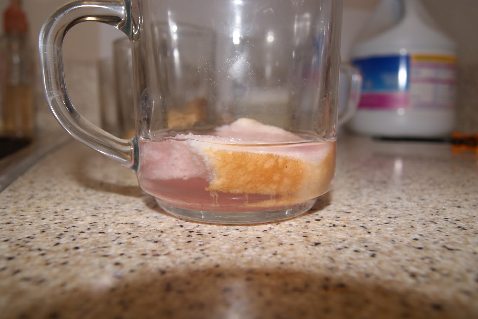 Chemistry The Chemical and Physical Properties of Bread