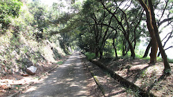 Lung Yan Road