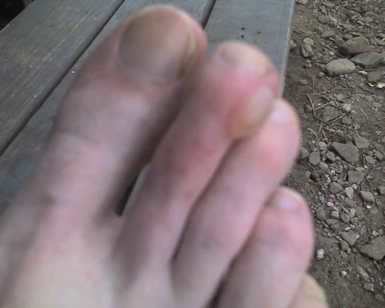 [Photo_032309_001-737308.jpg]