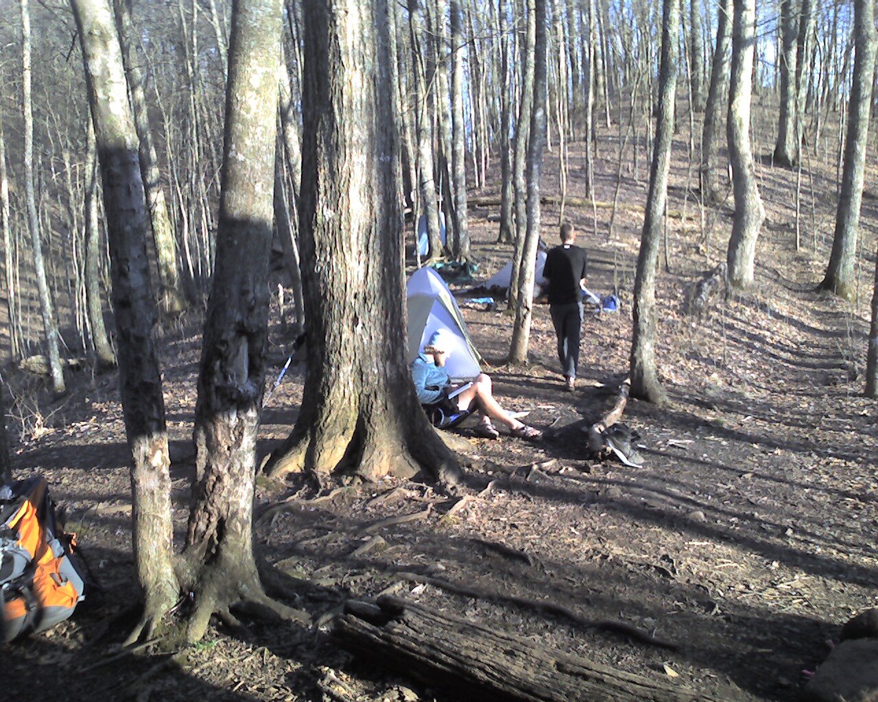 [Photo_040109_001-775648.jpg]