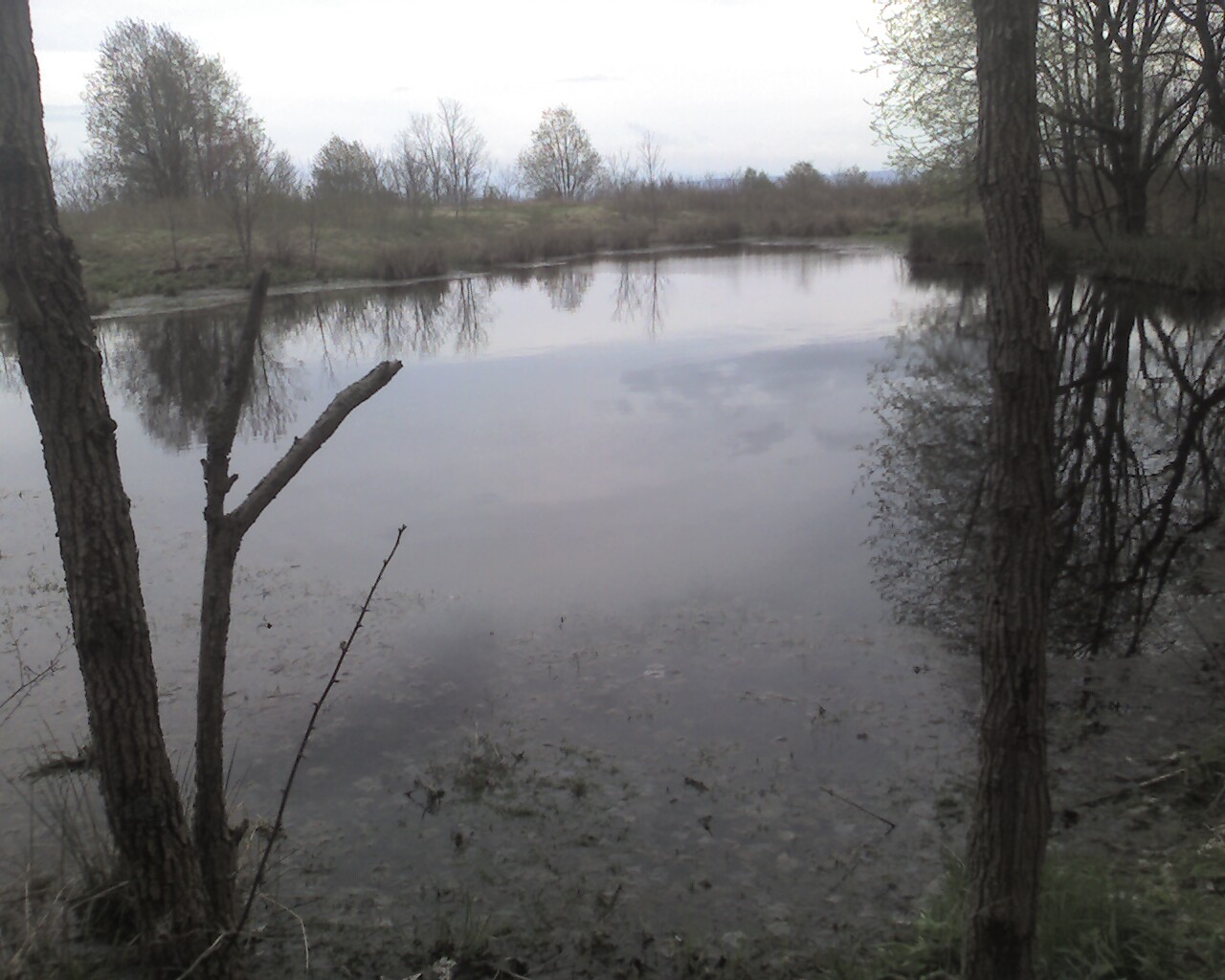 [Photo_050109_002-708785.jpg]