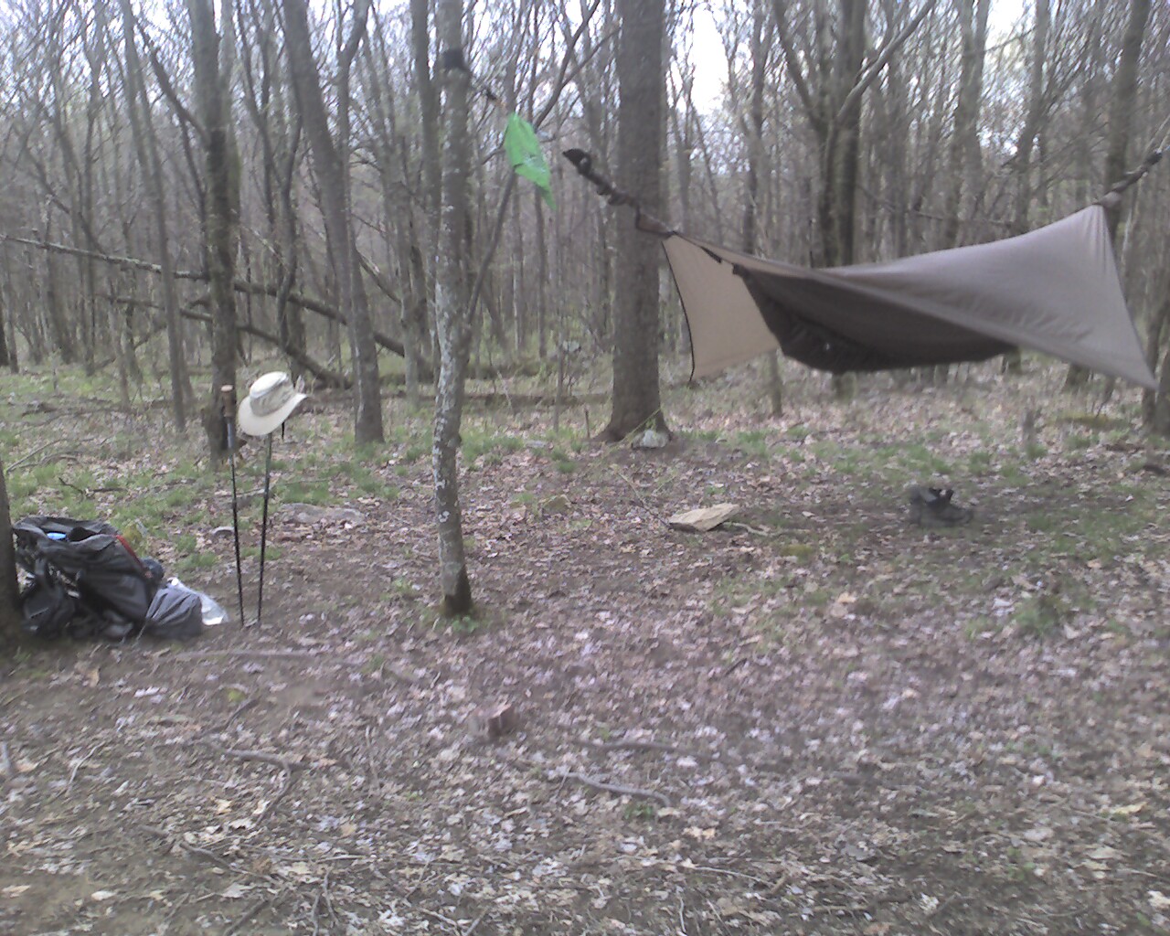 [Photo_050109_001-708094.jpg]