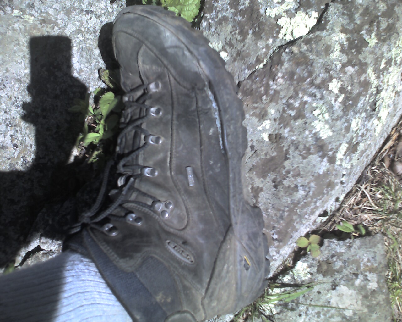 [Photo_051909_001-725678.jpg]