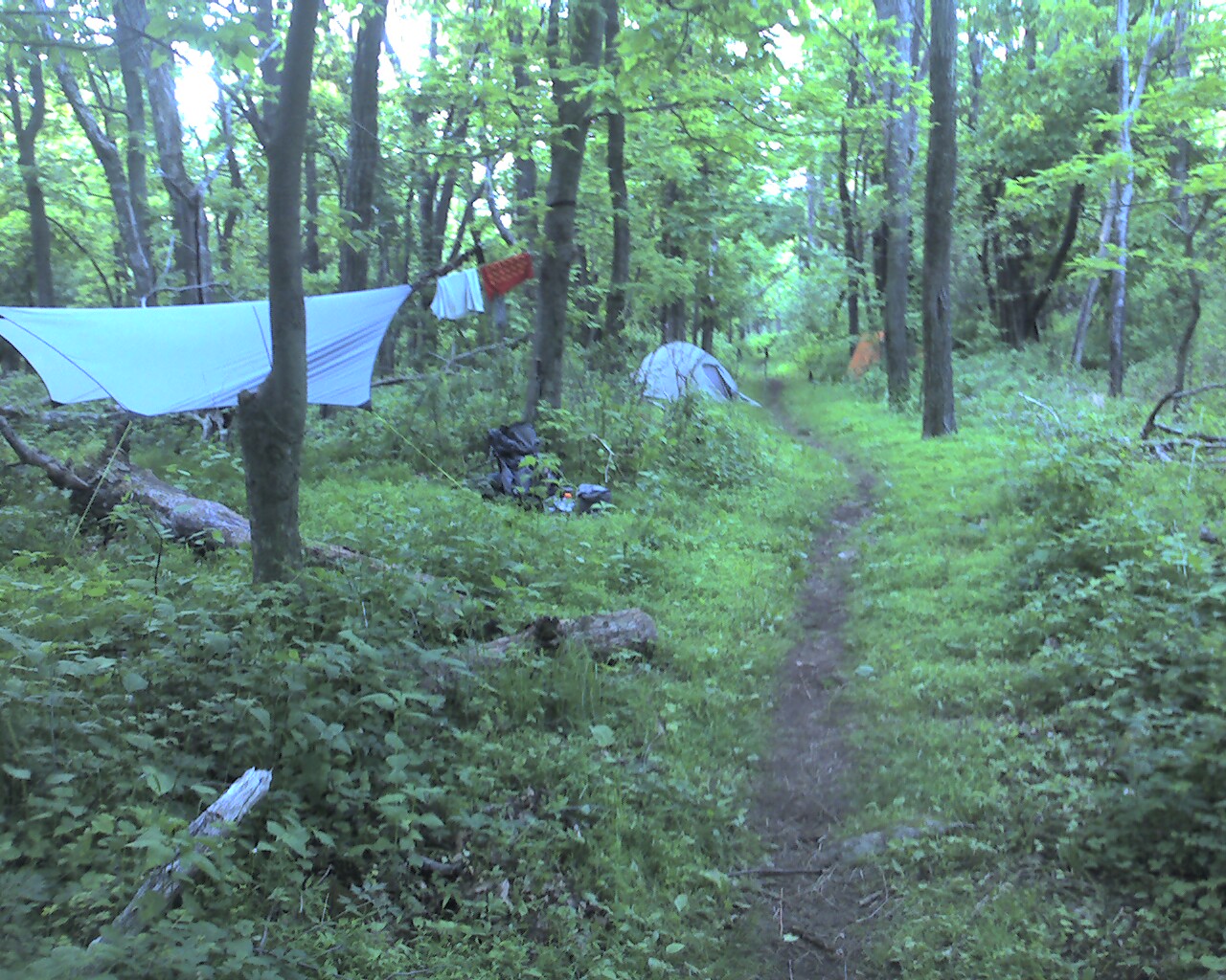 [Photo_060709_001-780211.jpg]