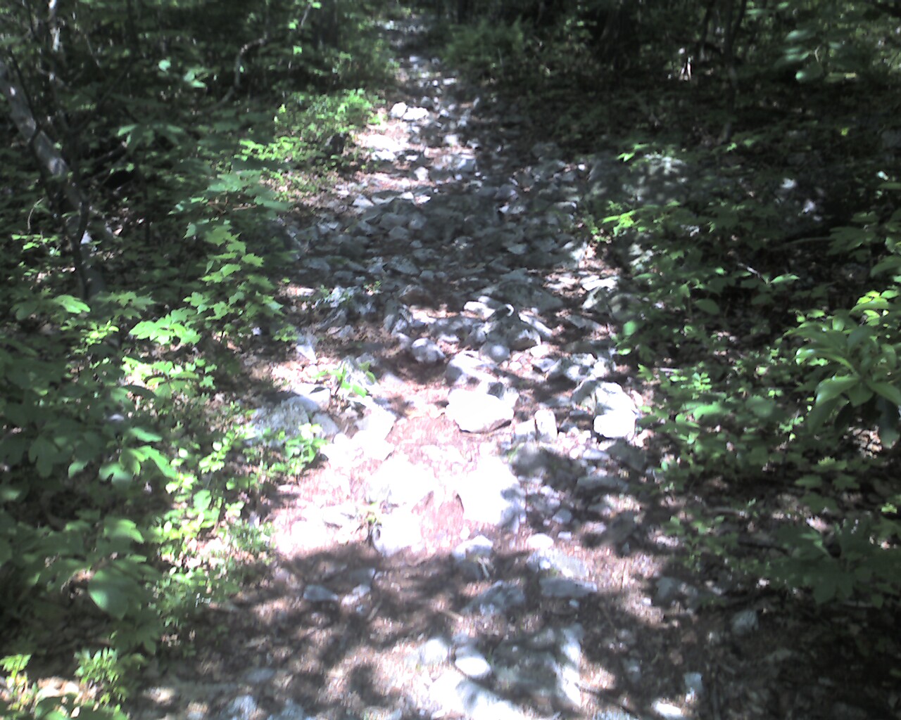 [Photo_062609_002-756164.jpg]