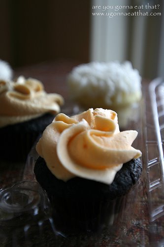 [3473803737_23e38c7bfa.jpg]