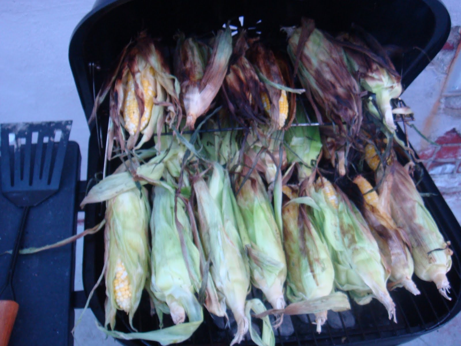 [Decatur_corn.JPG]