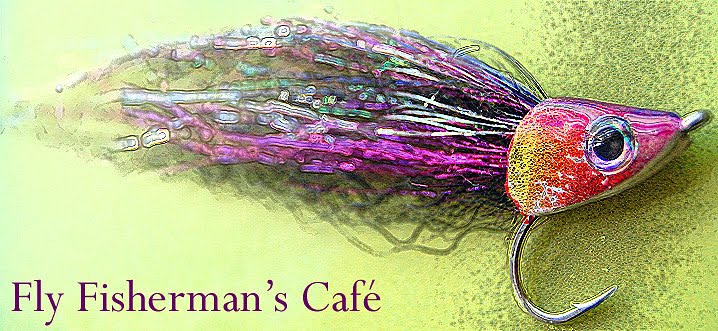 Fly Fisherman\