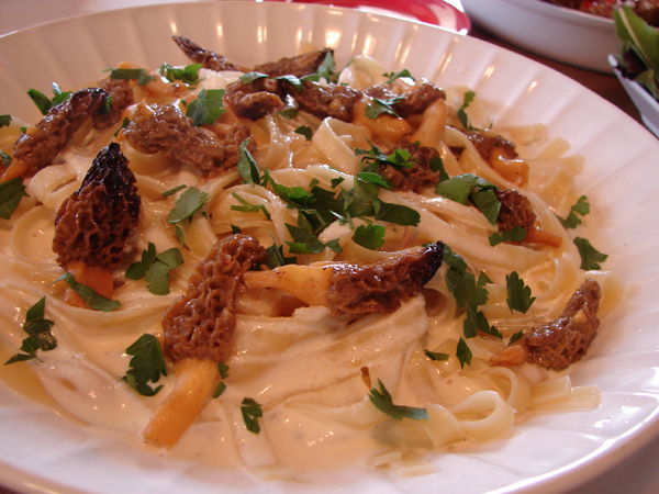 [morelfettucine.jpg]