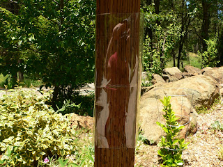 homemade squirrel baffle homemade squirrel baffle
