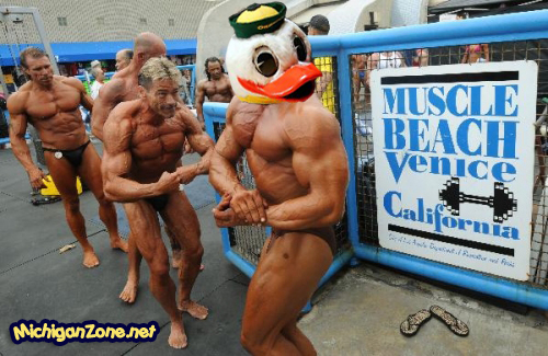 Oregon Duck Posters