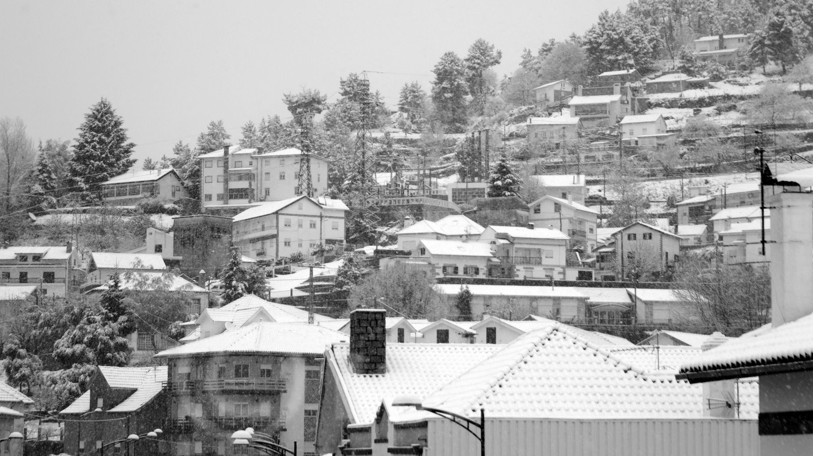 [DSC04569+cópia.jpg]