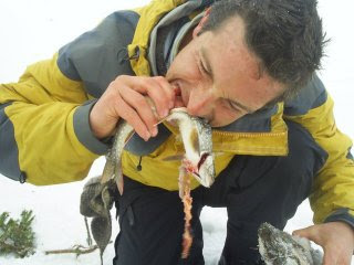Bear Grylls bei Amazon