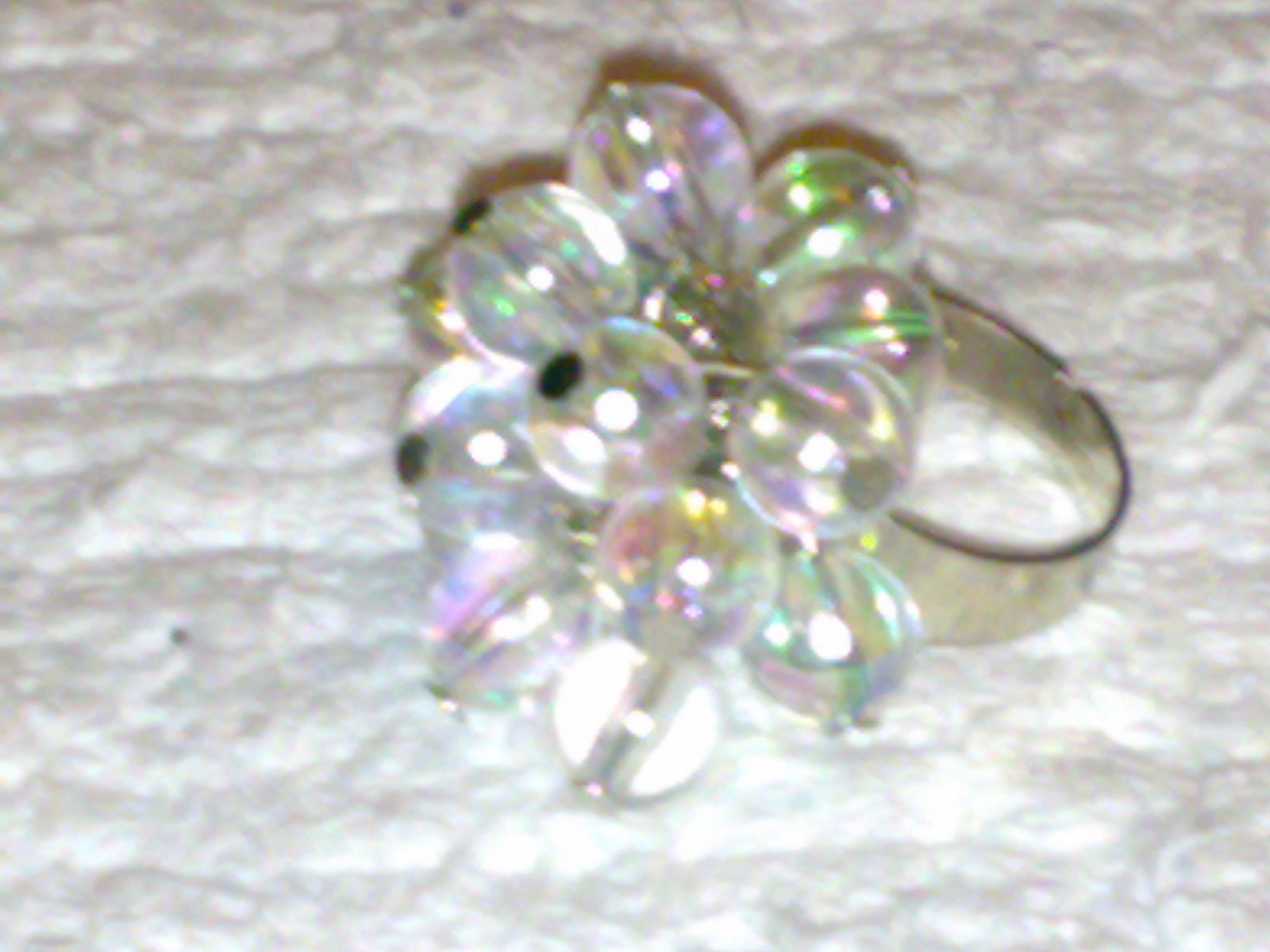[16112008619.jpg]