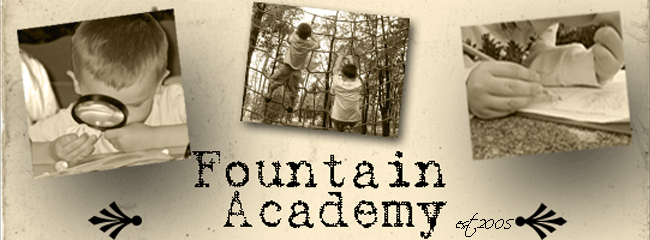 Fountain Academy