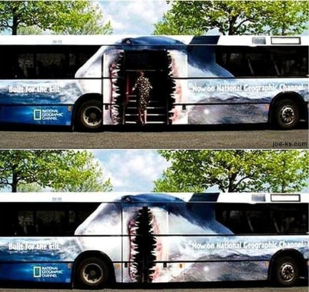 [bus_ad_shark.jpg]