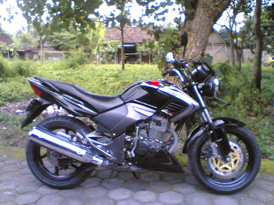 Sport Tiger