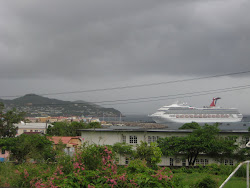 Cruise Ship in the harbour (view from my window at work)