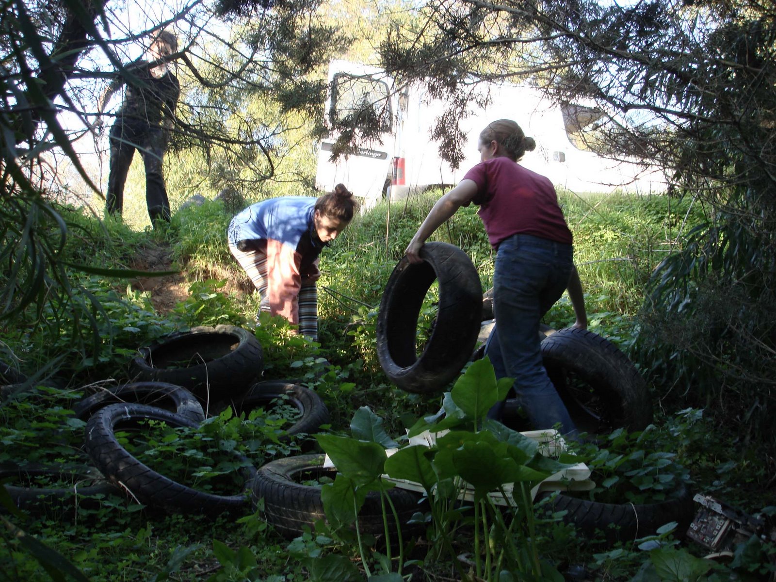 [Library+-+2036.jpg]