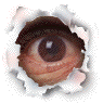 [auge.gif]