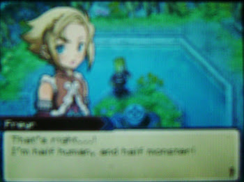 Rune Factory 3 Hero