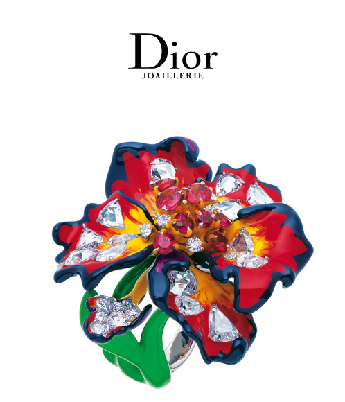 [dior.jpg]