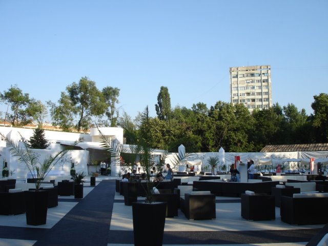 [DSC07070.JPG]