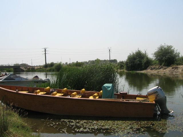 [IMG_7237.JPG]