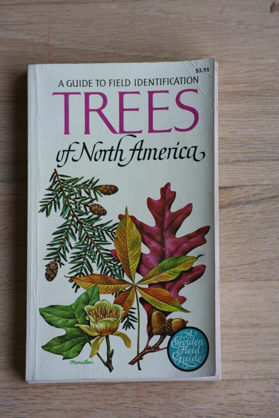 Picnics in the Park Vintage Books Field Guides