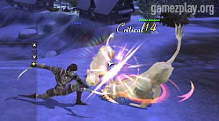 player fighting two big cats