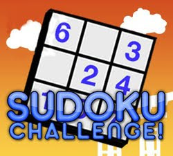 Sudoku Challenge