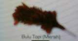 Bulu Topi