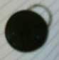 Butang Ring Besar